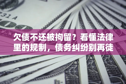 武汉欠债不还被拘留？看懂法律里的规制，债务纠纷别再徒劳奔波