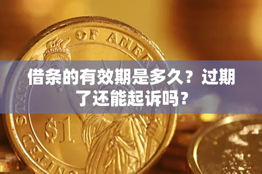 武汉借条的有效期是多久？过期了还能起诉吗？