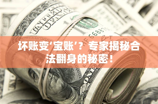 武汉坏账变‘宝账’？专家揭秘合法翻身的秘密！
