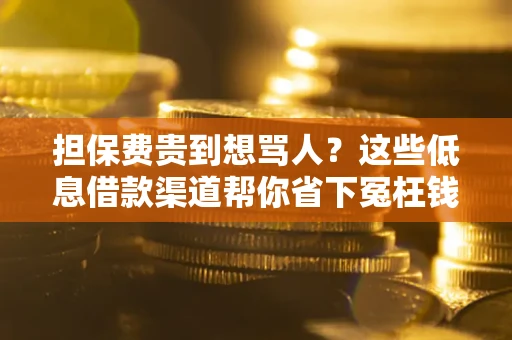 武汉担保费贵到想骂人？这些低息借款渠道帮你省下冤枉钱