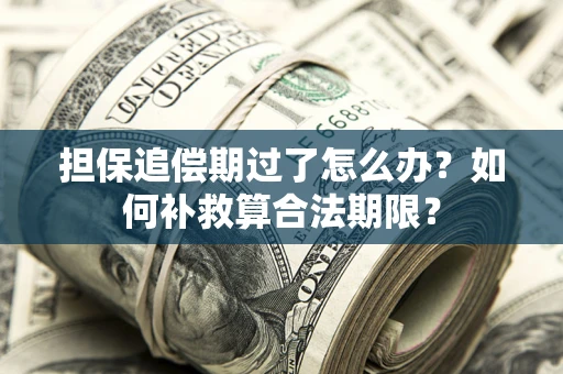 武汉担保追偿期过了怎么办？如何补救算合法期限？