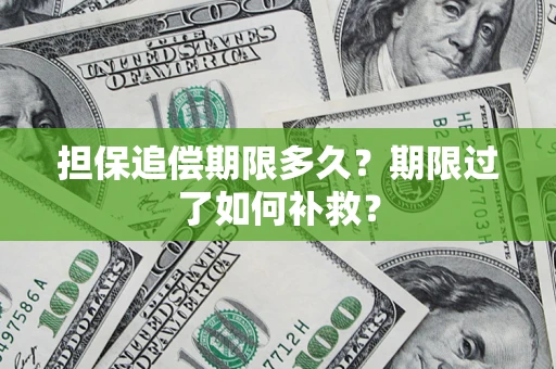 武汉担保追偿期限多久？期限过了如何补救？