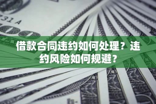 武汉借款合同违约如何处理？违约风险如何规避？