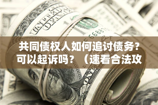 武汉共同债权人如何追讨债务？可以起诉吗？（速看合法攻略）