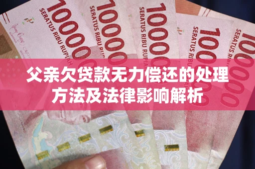 武汉父亲欠贷款无力偿还的处理方法及法律影响解析