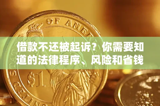 武汉借款不还被起诉？你需要知道的法律程序、风险和省钱技巧